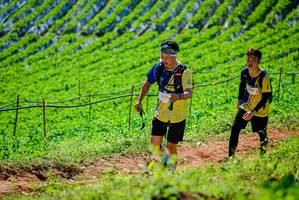 BIB: 
                            <button type="button" onclick="openModal(19163501)" class="btn btn-primary btn-sm float-right btn-popup" data-toggle="modal" data-target=".modal-high-quality">
                        <i class="fas fa-shopping-cart"></i> Add to Cart
                    </button>
                                            <button type="button" onclick="isThisMe(19163501, true)" class="btn btn-success btn-sm float-right btn-popup btn-isme hidden" data-toggle="tooltip" data-placement="bottom" title="นี่คือรูปของคุณใช่ไหม คลิกที่นี่เพื่อเอาเข้าอัลบั้ม">
                        <i class="fas fa-plus"></i> Add to album
                    </button>
                    <button type="button" onclick="isThisMe(19163501, false)" class="btn btn-warning btn-sm float-right btn-popup btn-isnotme hidden">
                        <i class="fas fa-ban"></i> Remove from album
                    </button>